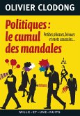 Politiques : le cumul des mandales (eBook, ePUB)