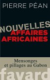 Nouvelles affaires africaines (eBook, ePUB)