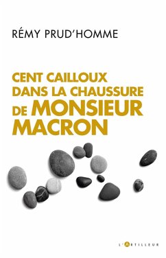 Cent cailloux dans la chaussure de M. Macron (eBook, ePUB) - Prud'homme, Rémy