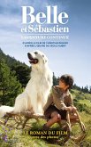 Belle et Sébastien - novélisation - Tome 2 - L'aventure continue (eBook, ePUB)