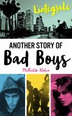 L'Intégrale de la série Another Story of Bad Boys (eBook, ePUB)