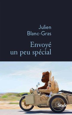 Envoyé un peu spécial (eBook, ePUB) - Blanc-Gras, Julien