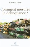 Comment mesurer la délinquance ? (eBook, ePUB) Comment mesurer la délinquance ? (eBook, ePUB)