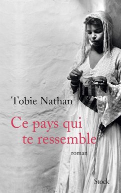 Ce pays qui te ressemble (eBook, ePUB) - Nathan, Tobie