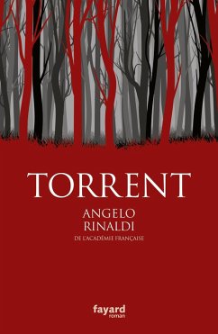 Cover Torrent (eBook, ePUB)