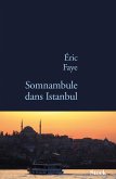 Somnambule dans Istanbul (eBook, ePUB)