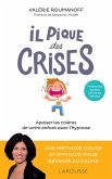 Il pique des crises (eBook, ePUB)