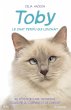 Toby, le chat perdu qui louchait... - Bild 1
