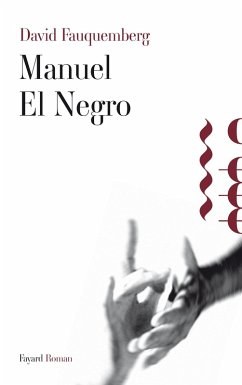 Manuel El Negro (eBook, ePUB) - Fauquemberg, David