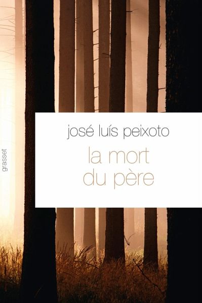 La mort du père (eBook, ePUB)