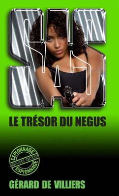 SAS 45 Le trésor du Négus (eBook, ePUB) - de Villiers, Gérard