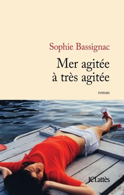 Mer agitée à très agitée (eBook, ePUB) - Bassignac, Sophie
