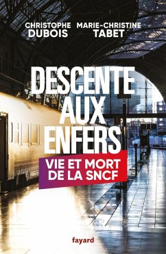 Descente aux enfers (eBook, ePUB) - Tabet, Marie-Christine; Dubois, Christophe