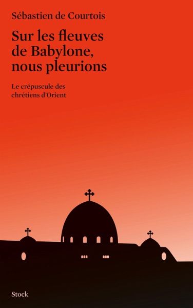 Sur les fleuves de Babylone, nous pleurions (eBook, ePUB)