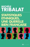 Statistiques ethniques, une polémique bien française (eBook, ePUB)