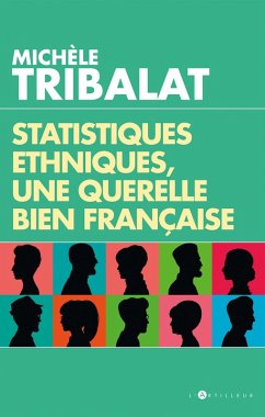 Statistiques ethniques, une polémique bien française (eBook, ePUB) - Tribalat, Michèle