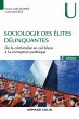 Sociologie des élites délinquantes -... - Bild 1