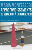 Approfondissements : du sensoriel à l'abstraction (eBook, ePUB)