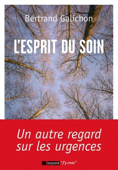 L'esprit du soin (eBook, ePUB) - Galichon, Bertrand