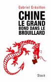 Chine. Le grand bond dans le brouillard (eBook, ePUB)