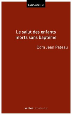 Le salut des enfants morts sans baptême (eBook, ePUB) Cover Le salut des enfants morts sans baptême (eBook, ePUB)