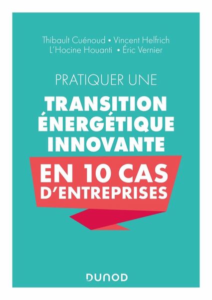 Pratiquer une transition énergétique innovante en 10 cas d'entreprise (eBook, ePUB)