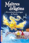 Maîtres des dragons, Tome 07 (eBook, ePUB)