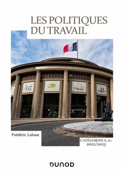 Les politiques du travail catégorie A, A + (eBook, ePUB) - Laloue, Frédéric