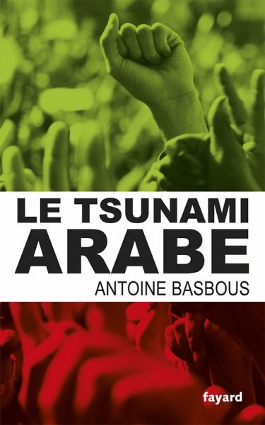 Le tsunami arabe (eBook, ePUB)