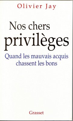 Nos chers privilèges (eBook, ePUB) - Jay, Olivier