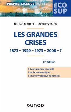 Les grandes crises - 11e éd. (eBook, ePUB) Cover Les grandes crises - 11e éd. (eBook, ePUB)