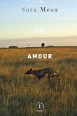 Un amour (eBook, ePUB)