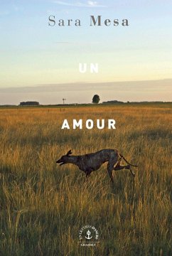 Un amour (eBook, ePUB) - Mesa, Sara