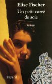 Un petit carré de soie (eBook, ePUB)