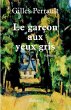 Le garçon aux yeux gris (eBook, ePUB) - Bild 1