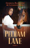 Pelham Lane - Tome 3 (eBook, ePUB)