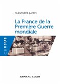 La France de la Première Guerre mondiale (eBook, ePUB)