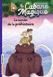 La cabane magique, Tome 06 (eBook, ePUB) - Bild 1