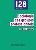 Sociologie des groupes professionnels (eBook, ePUB)
