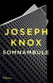 Somnambule (eBook, ePUB)