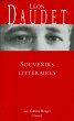 Souvenirs littéraires (eBook, ePUB) - Bild 1