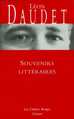 Cover Souvenirs littéraires (eBook, ePUB)