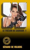 SAS 163 Le trésor de Saddam T1 (eBook, ePUB)
