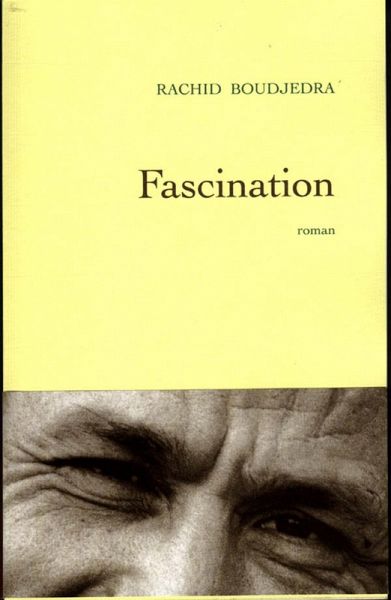 Fascination (eBook, ePUB)