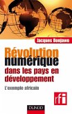 Révolution numérique dans les pays en développement (eBook, ePUB)