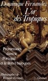L'Or des Tropiques (eBook, ePUB)