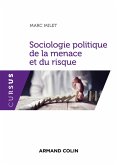Sociologie politique de la menace et du risque (eBook, ePUB)