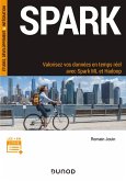 Spark (eBook, ePUB)