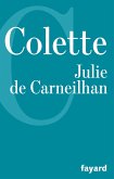 Julie de Carneilhan (eBook, ePUB)