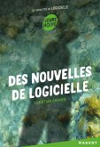 Des nouvelles de Logicielle (eBook, ePUB)
